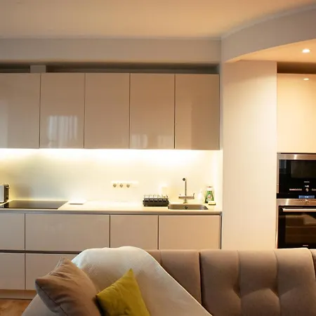Appartement Vilmsi 44 Cozy 85m2 With Sauna In Kadriorg